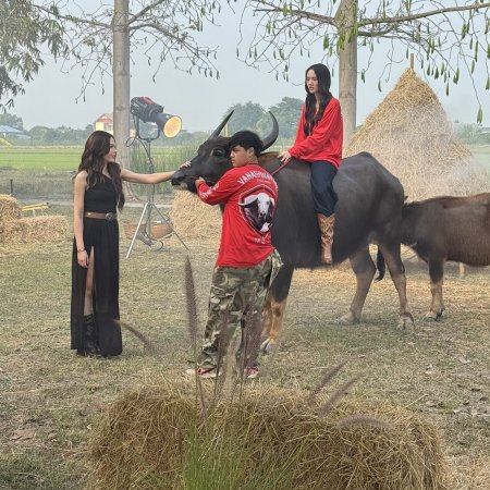 Hometown Romance (2026)