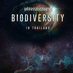 Biodiversity in Thailand (2024)