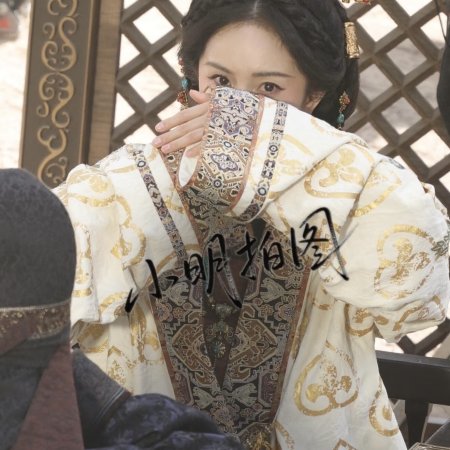 Northern Wei Dynasty ()