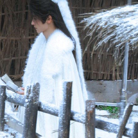 The Legend of Lu Xiaofeng ()