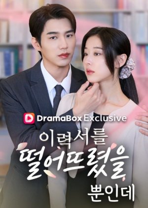 The CEO's Secret Lover (2026) poster