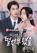 The CEO's Secret Lover Korean Drama(2026) photo