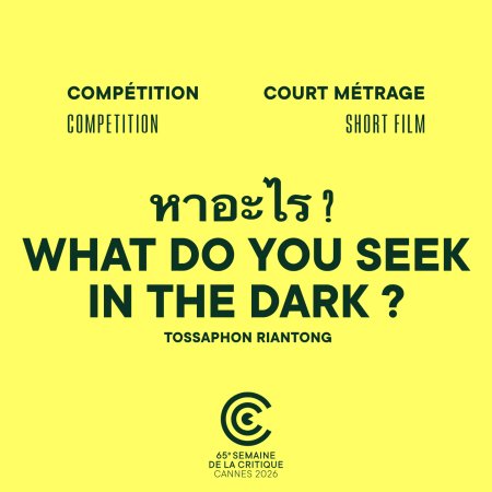 What Do You See in the Dark? (2026)