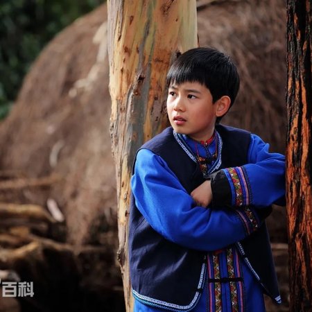 Cong Fan Da Fu Cun (2013)