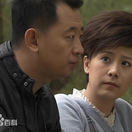 A Beautiful Daughter in Law Era (2010)