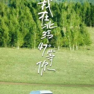 Forest (2025)