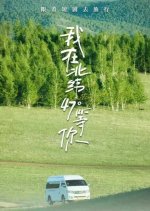 Forest Chinese Drama(2025) photo