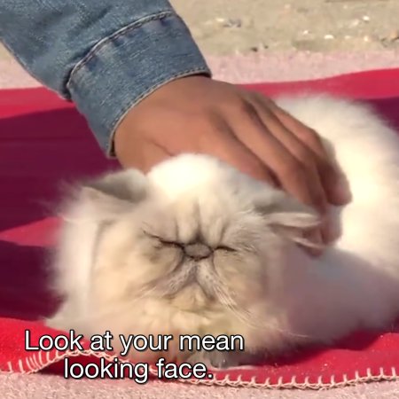 Couple or Trouble (2006)