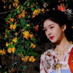 The Story of Pearl Girl Chinese Drama(2024) photo