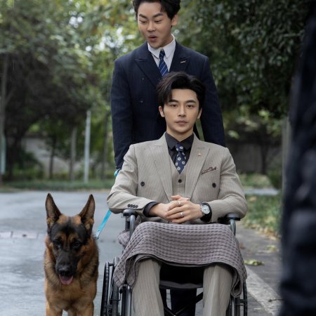 My Miracle Doctor Wife (2024)