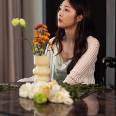 Butterfly in Hand Chinese Drama(2025) photo