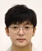 Ling Fei