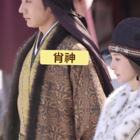 Northern Wei Dynasty ()