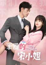 Dear Miss Song Chinese Drama photo