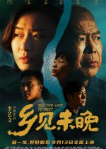 Not Too Late to Meet Chinese Movie photo