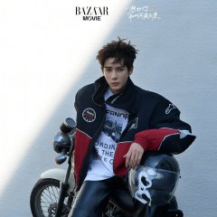 Wang An Yu photo