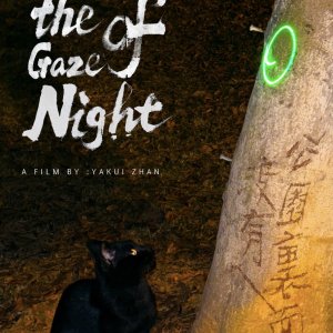 Under the Gaze of Night (2026)