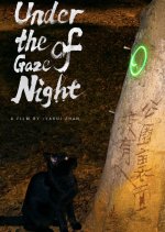 Under the Gaze of Night Hong Kong Movie(2026) photo