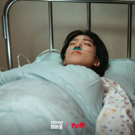 Undercover Miss Hong (2026)