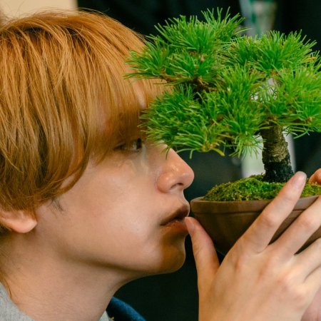 Lunch Break Lovers (2026)