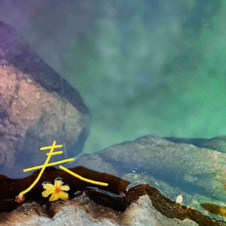 Live Up to Your Youth (2026)