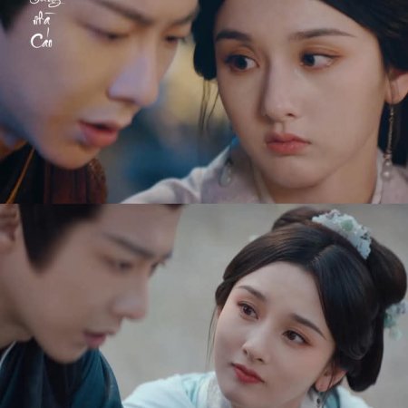 The Prisoner of Beauty (2025)