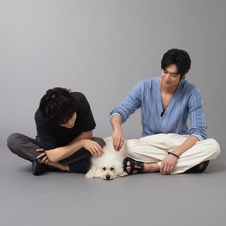 Love Is for the Dogs (2025)