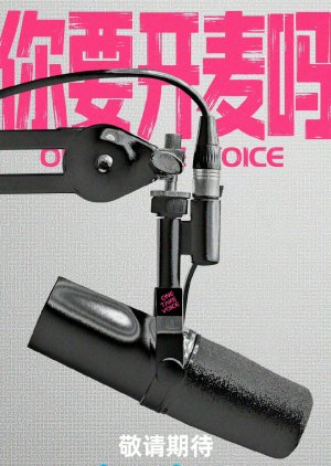 One Take Voice poster
