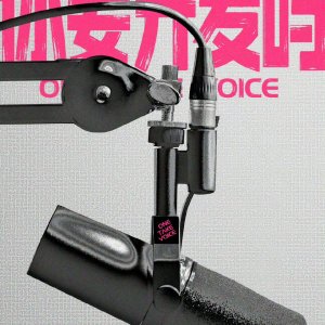 One Take Voice ()
