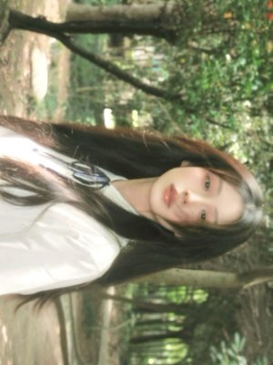 minarii