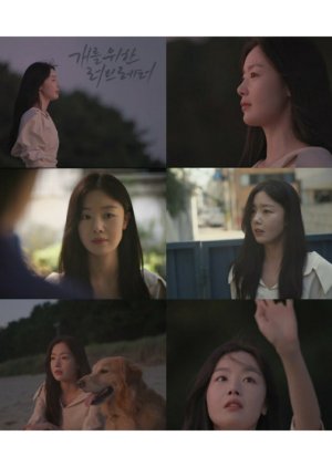 Love Letter to the Dog poster