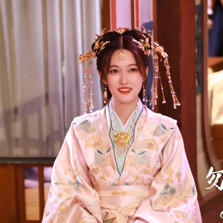 Flying up without Disturb (2025)