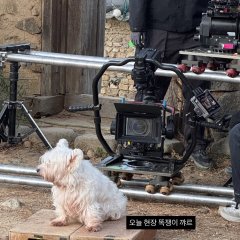 Brave New World Korean Drama(2026) photo