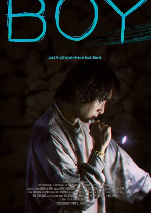 Boy (2026) poster