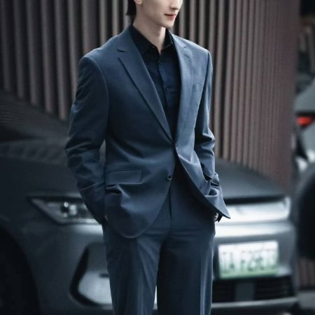 The Vanishing Beauty ()