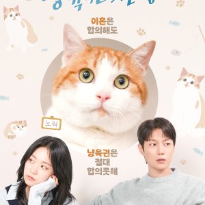 tvN O'PENing: The Catstody War (2025)