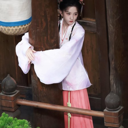 Biao Mei Wan Fu ()
