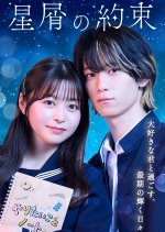 Hoshikuzu no Yakusoku Japanese Drama(2025) photo