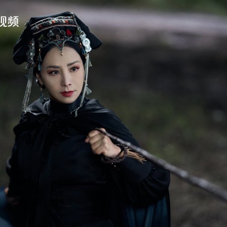 Duel on Mount Hua: Southern Emperor and Northern Beggar (2025)