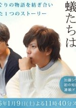 Ants without Umbrella Japanese Drama photo