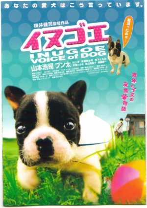 Voice of Dog (2006) poster