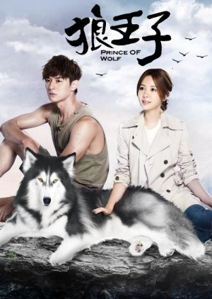 Prince of Wolf: Special (2016) poster