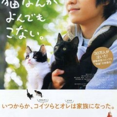 Cats Don't Come When You Call (2016) photo