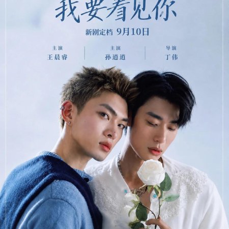 Till I See You (2026)