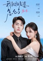 Wo Jiu Pa Lao Po Zen Me Liao Season 2 Chinese Drama(2026) photo