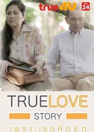 True Love Story Series - Person You Also Know (2016) poster