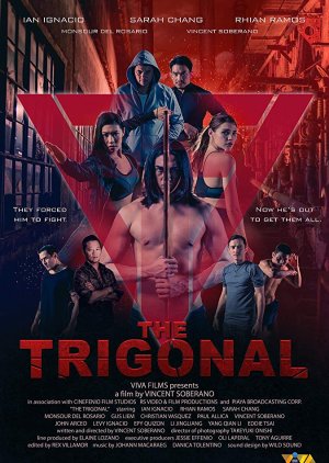 The Trigonal: Fight for Justice (2018) poster