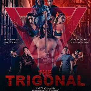 The Trigonal: Fight for Justice (2018)