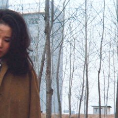 The Home of Stars Korean Movie photo