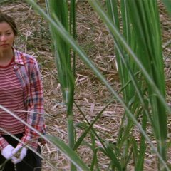 Breathe In, Breathe Out Japanese Movie photo